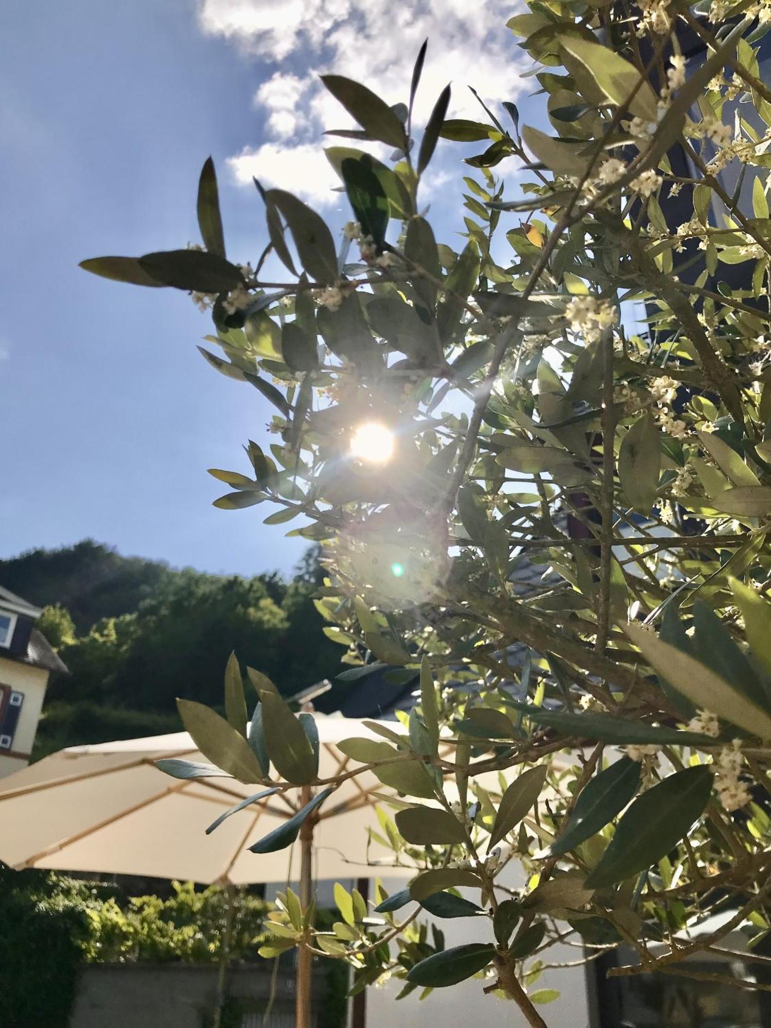 Hotel Villa Vie Κόχεμ Εξωτερικό φωτογραφία